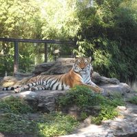 Catherine Castellanos Pinto's Photo