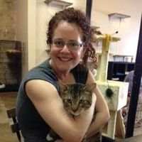 Amber Swersky's Photo