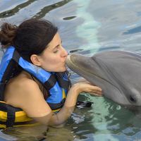 Kalliopi Petrou的照片