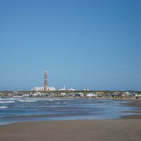 Marina Ferreira's Photo