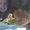 Pedro Mota's Photo