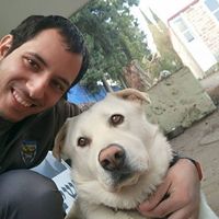 Segev Cohen的照片