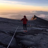 franzi block的照片