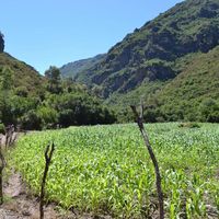 Said Idrissi's Photo