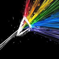 Eduardo Alberto Duarte Lacerda's Photo