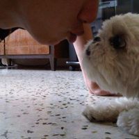 Dawn HY Lee ten Dam的照片