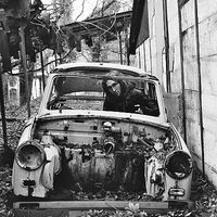 Simon Schneider的照片