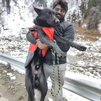 Vijay Krishna's Photo