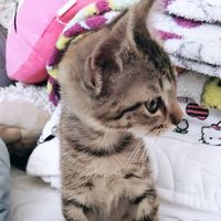 Juliana Vargas's Photo