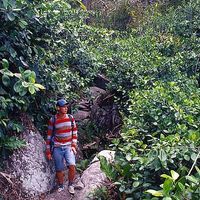 Daniel Gieseler's Photo