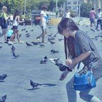 Gvan Ca Gvaberia的照片