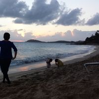 chana laufer's Photo