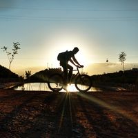 Salar Shamchi's Photo