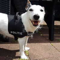 Photos de Michelle Kooistra