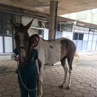 Photos de Alejandra Hernández