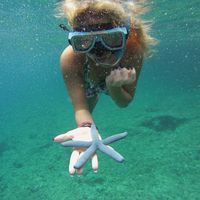 Karen Loureiro's Photo