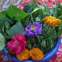 Khondoker Nasrin Akhter's Photo