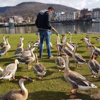 Youssef  BENTAKHOU's Photo