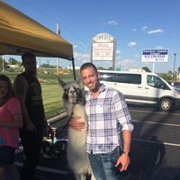 ADAM BALESTINO's Photo