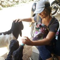 Fotos de Heidi Firth