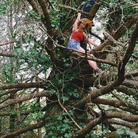 Sierra Kind的照片