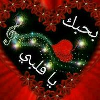 عبد الرحمان برغش's Photo