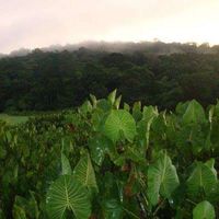 Fotos de Jessie Jeanne Simone