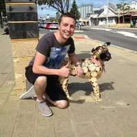 Matt O'Reilly's Photo