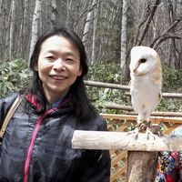 Yumi Kitamura's Photo