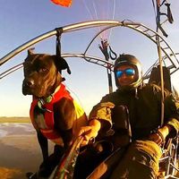 Leandro Ramos的照片