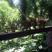 Angela Reina's Photo