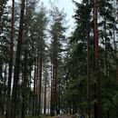 Couchsurfing Run's picture