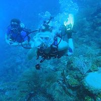 markinthetropics's Photo