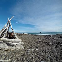 Coraline Bretonneau的照片