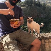 Mohamad Alsharane's Photo