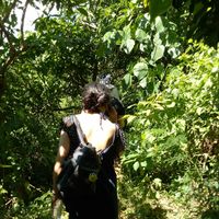 Fotos von Gill Jhuang