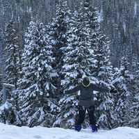 Harold Pennington的照片