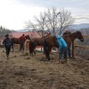 Trail Riding with Panoramic Views 's picture