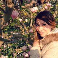 Rob Mazzotti's Photo