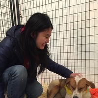 Melissa Chan's Photo