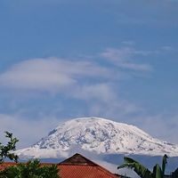 Gaudence Moshi's Photo