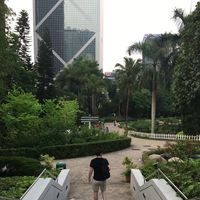 Le foto di Harry Lonergan