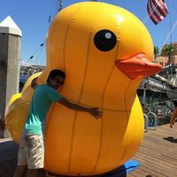 Colin McBride's Photo