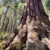 Stephanie  Diaz's Photo