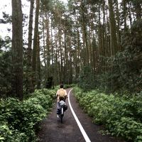 Photos de Kamilė Tamutytė