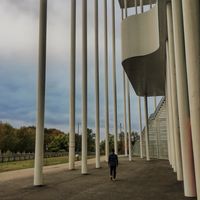 The Nguyen Nguyen的照片