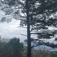 Constance Fang's Photo