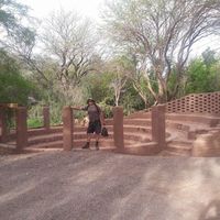 Jorge Zambra的照片