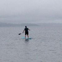 David Gutierrez的照片