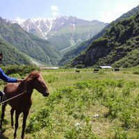 navid mokhtarii的照片